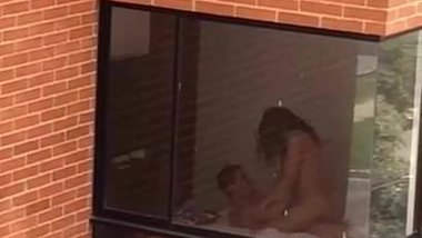 Solche Nachbarn will man doch